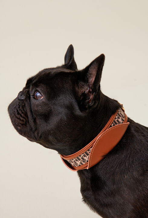 Halsband mit CP-Monogramm