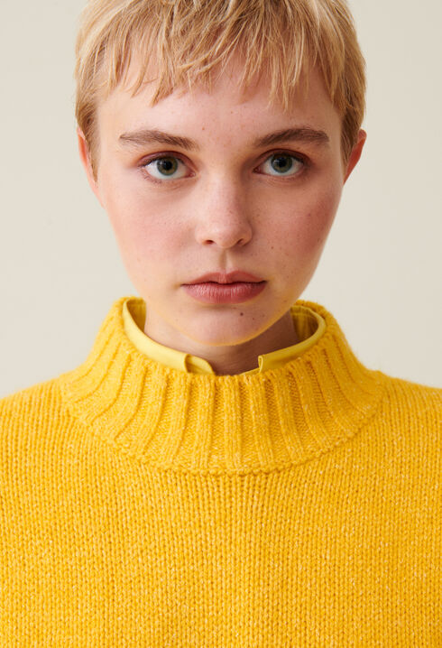 Pull col cheminée