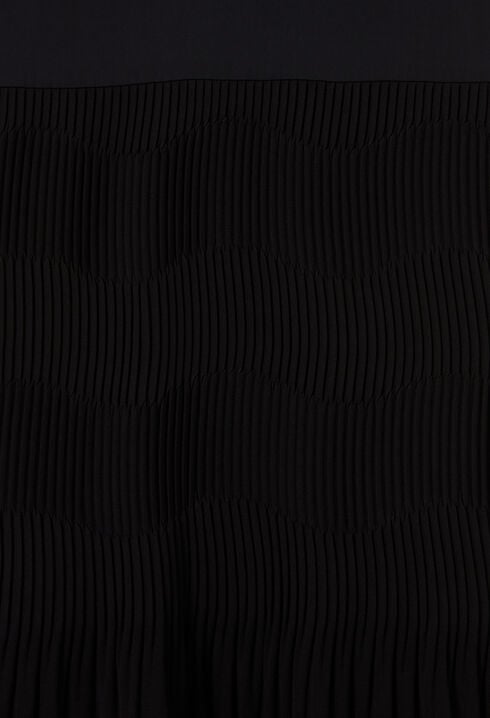 Long pleated skirt