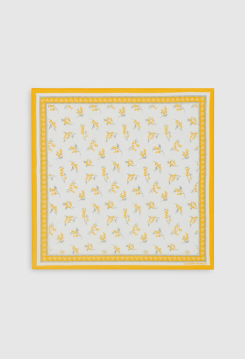 Mimosa bandana