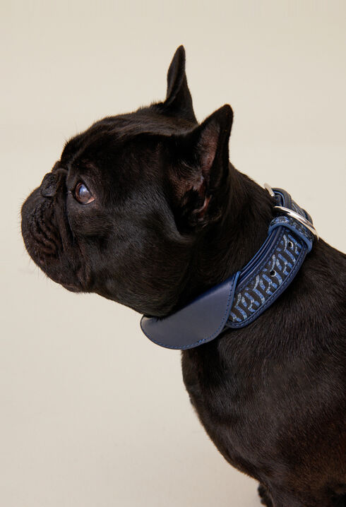 Monogrammed CP dog collar