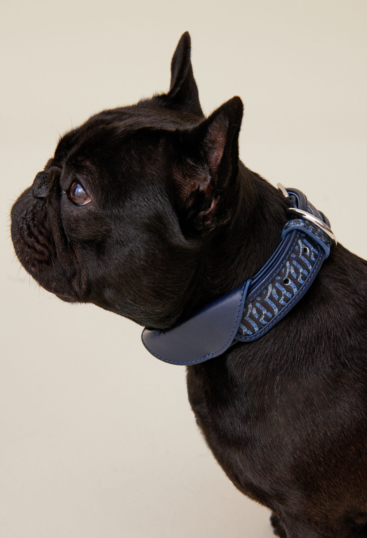 Collier chien monogramme CP