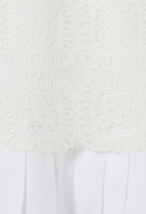 Short lace skirt